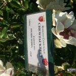 Roseto Comunale
