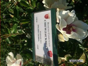 Roseto Comunale
