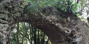 Galeria Antica - Accesso